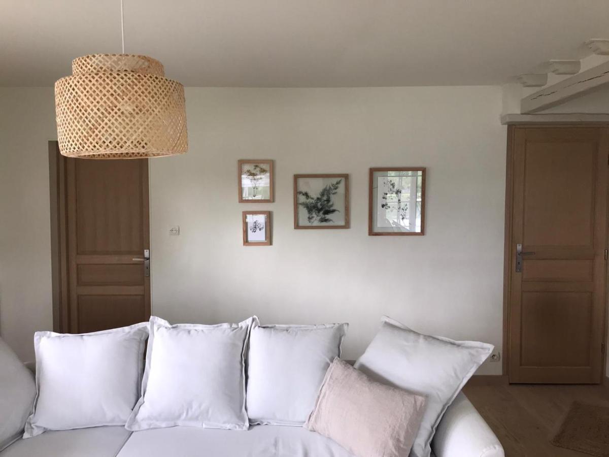 Ambiance Seine - Appartement 46M2 Terrasse - Hortensia Thomery Ngoại thất bức ảnh