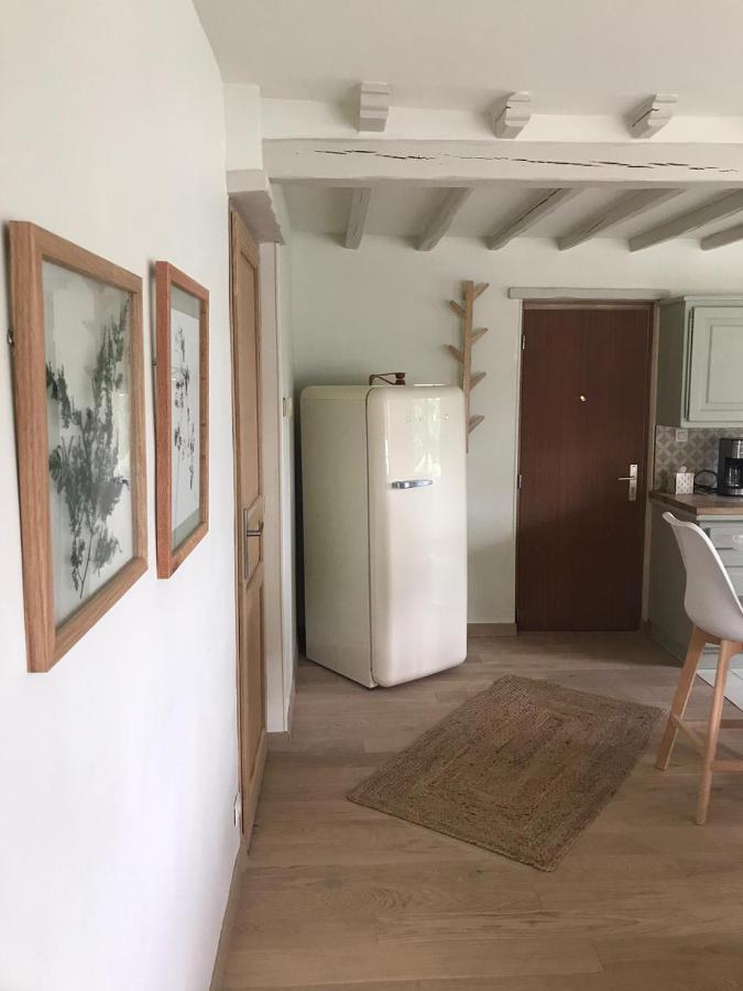 Ambiance Seine - Appartement 46M2 Terrasse - Hortensia Thomery Ngoại thất bức ảnh